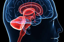 COMPREHENSIVE  HORMONE PROFILE (Saliva)